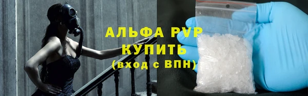 ПСИЛОЦИБИНОВЫЕ ГРИБЫ Магас