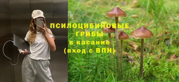 амф Белоозёрский