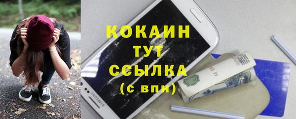 шишки Лиски
