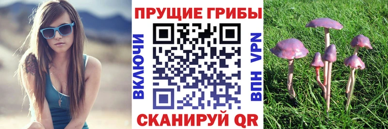 Купить где  Бердск  Псилоцибиновые грибы ЛСД 